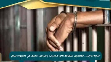 تنويه عاجل.. تفاصيل سقوط تاجر مخدرات بأقراص الكيف في الجيزة اليوم